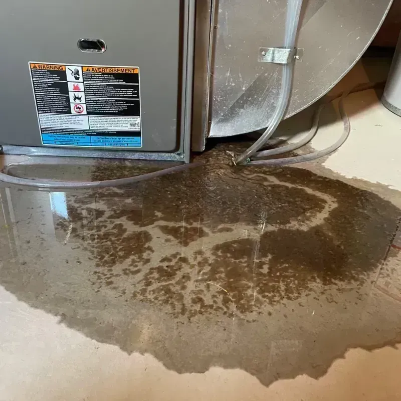 Appliance Leak Cleanup in Desert Aire, WA